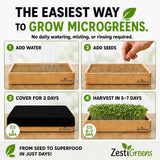 Organic Self-Watering Microgreens Growing Kit – Reusable Indoor Grow Tray with Organic Seeds, Grow Mats & Bamboo Frame – Easy No-Soil Microgreens Starter Kit (Broccoli & Salad Mix)