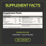 Motiv- Organic Matcha & Mushrooms Energy Gummies | 300 MG Concentrate Matcha Green Tea + Mushroom Blend | Improve Brain Function, Immune Support, Gut Health, Reduce Stress - Vegan, Non-GMO