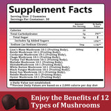 Sky Nutrition Mushroom Gummies, 12 in 1 Mushroom Blend with Lions Mane, Turkey Tail, Organic Reishi, Cordyceps, Immune Support & Energy Boost, Mushroom Supplement for Adults, Non-GMO, 60 Gummies