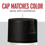 Rust-Oleum 7798830-6PK Stops Rust Spray Paint, 12 oz, Semi-Gloss Black, 6 Pack