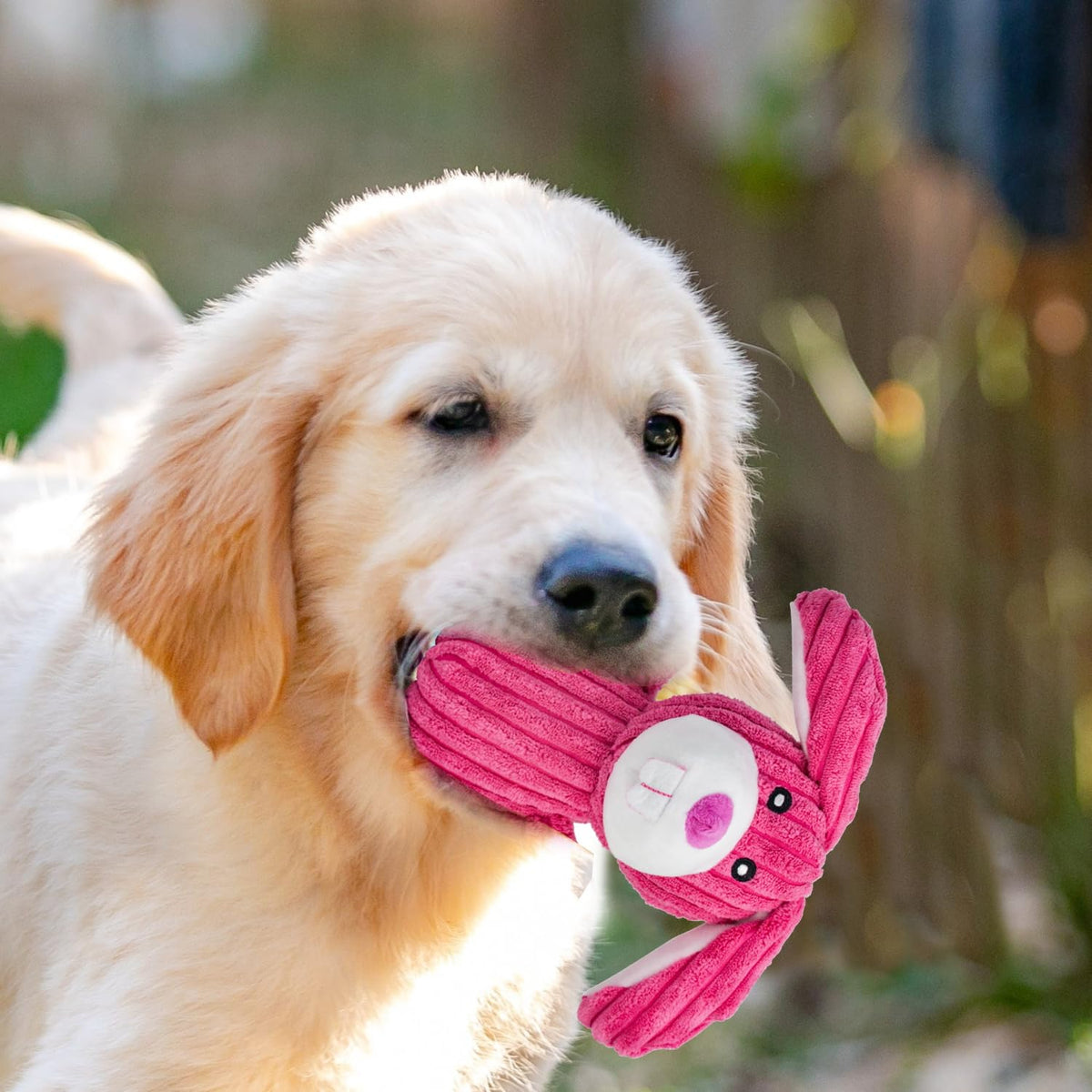 MRSOHRET Dog Squeak Toys Puppy Toys, Tough Dog Toys for Aggressive Chewers