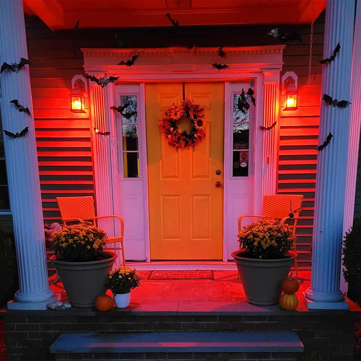 Meconard 24 Pack S14 Purple and Orange Light Bulbs for Halloween Decoration