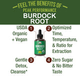 Peak Performance USDA Organic Burdock Root Liquid Drops Supplement. Vegan Extract Tincture for Women and Men. Organic Burdock Root Oil Herb. Zero Sugar, Gluten Free Supplements