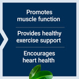 Life Extension Super Carnosine 500mg - For Muscle Recovery - L-Carnosine Supplement with Benfotiamine, Vitamin B1, Luteolin For Healthy Aging - Non-GMO, Gluten-Free - 60 Vegetarian Capsules