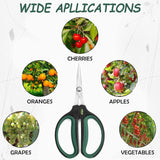 Yieldcropper Hydroponic 2-Pack Bonsai Scissors and Plant Trimming Shears Set - Stainless Steel Pruning Shears for Indoor Gardening, Succulent Harvest, and Precision Plant Care
