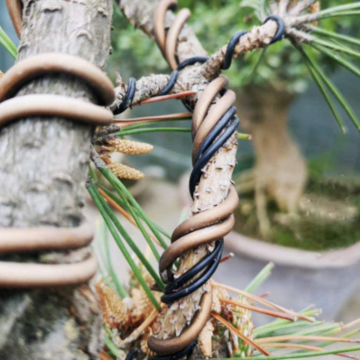 Leaves & Soul Bonsai Wire Kit with Cutter, Bonsai Training Wire Set 160ft