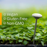 Herb Pharm Certified Organic Boswellia Liquid Extract for Joint Support, 1 Fl Oz