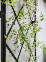 Gardener's Supply Company Lattice Gable Wall Trellis, 32" W x 113.5" H