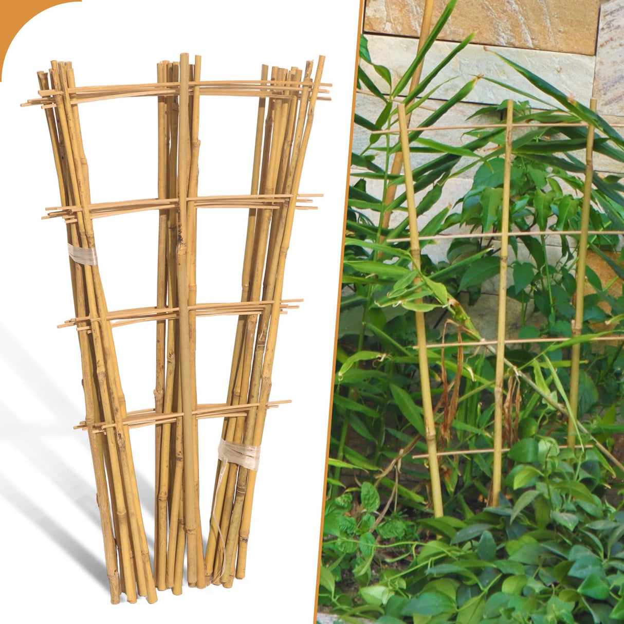 10 Pack 2ft Bamboo Trellis for Climbing Plants, Fan-Shaped Garden Support