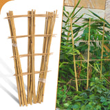 10 Pack 2ft Bamboo Trellis for Climbing Plants, Fan-Shaped Garden Support