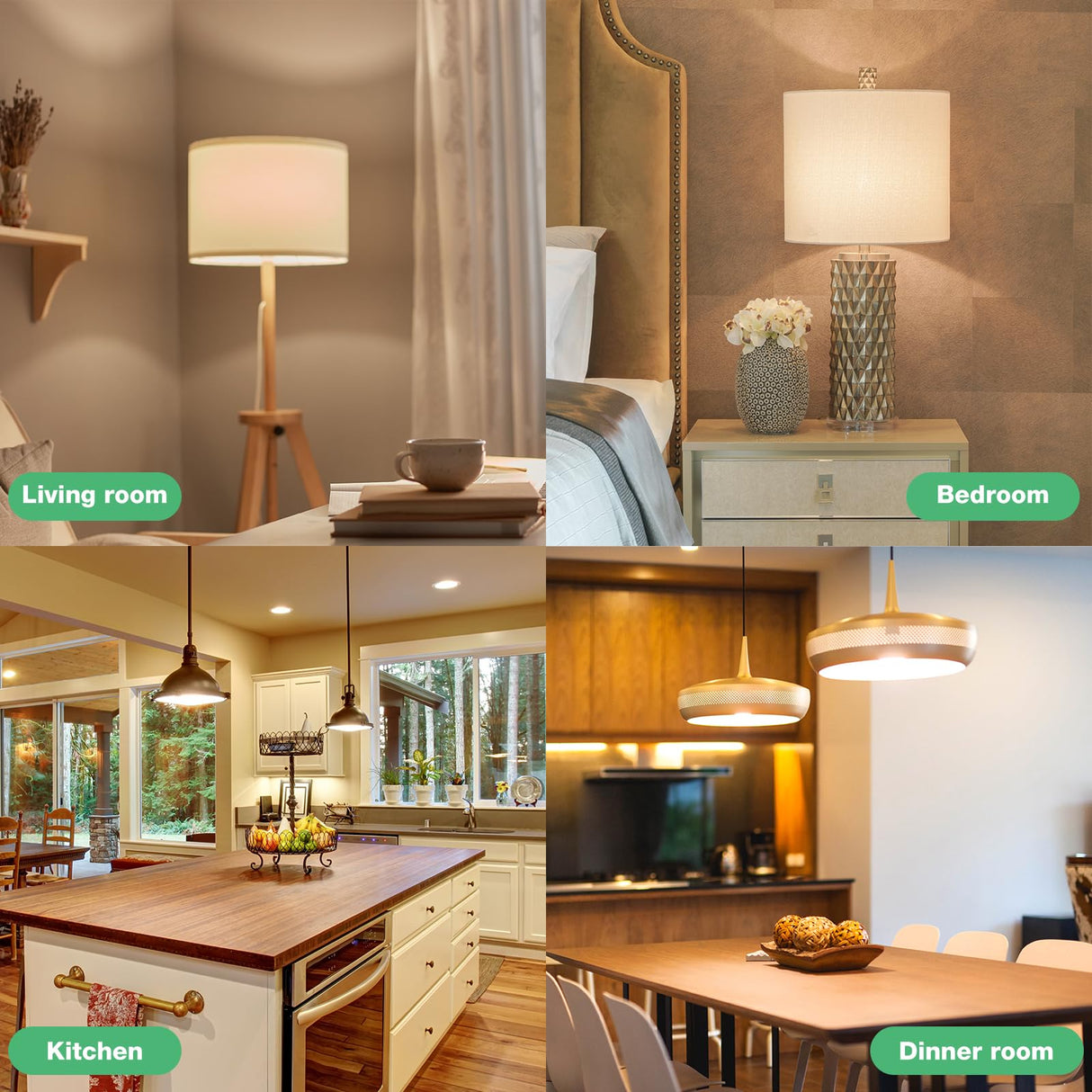 DEGNJU LED Light Bulbs Daylight 5000K, 60 Watt Equivalent LED Bulbs, A19 Standard Bulbs, 800 LM, 15000 Hours, E26 Base, Non-Dimmable, 8W LED Bulbs for Bedroom Living Room 24 Pack