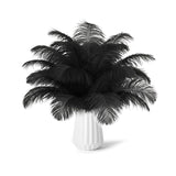 NEWONG 30pcs Black Ostrich Feathers Natural Bulk 11-14inch(28-35cm) Vase Craft Wedding Home Party Centerpieces Christmas Day Decoration