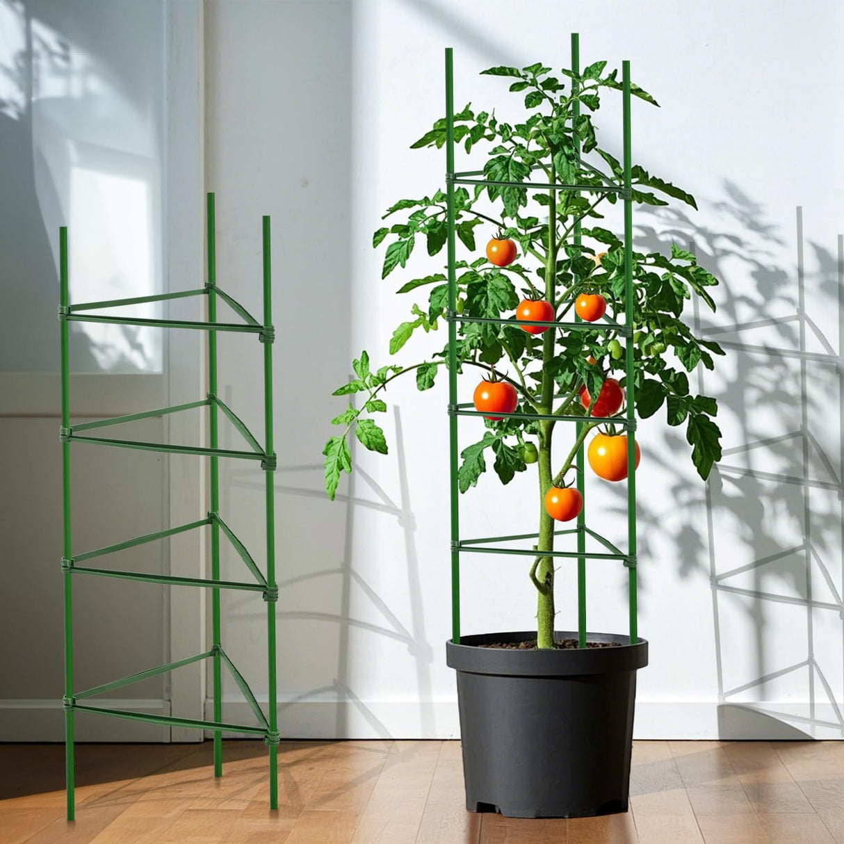 Coloch 100 Pcs Plant Stake Arms for Tomato Cage, 11.8” Expandable Plant Supports Trellis Connector with 2 Buckles for 11mm Diameter Plant Stake, for Climbing Plants, Tomato, Vegetable, Indoor&Outdoor