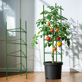Coloch 100 Pcs Plant Stake Arms for Tomato Cage, 11.8” Expandable Plant Supports Trellis Connector with 2 Buckles for 11mm Diameter Plant Stake, for Climbing Plants, Tomato, Vegetable, Indoor&Outdoor