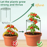 6 Pack 12 x 16 Inch Peony Cages and Supports for Outdoor Plants