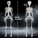 XONOR 3ft Halloween Skeleton Human Full Body Skeleton Decorations for Halloween Party Haunted House Supplies (1pc)