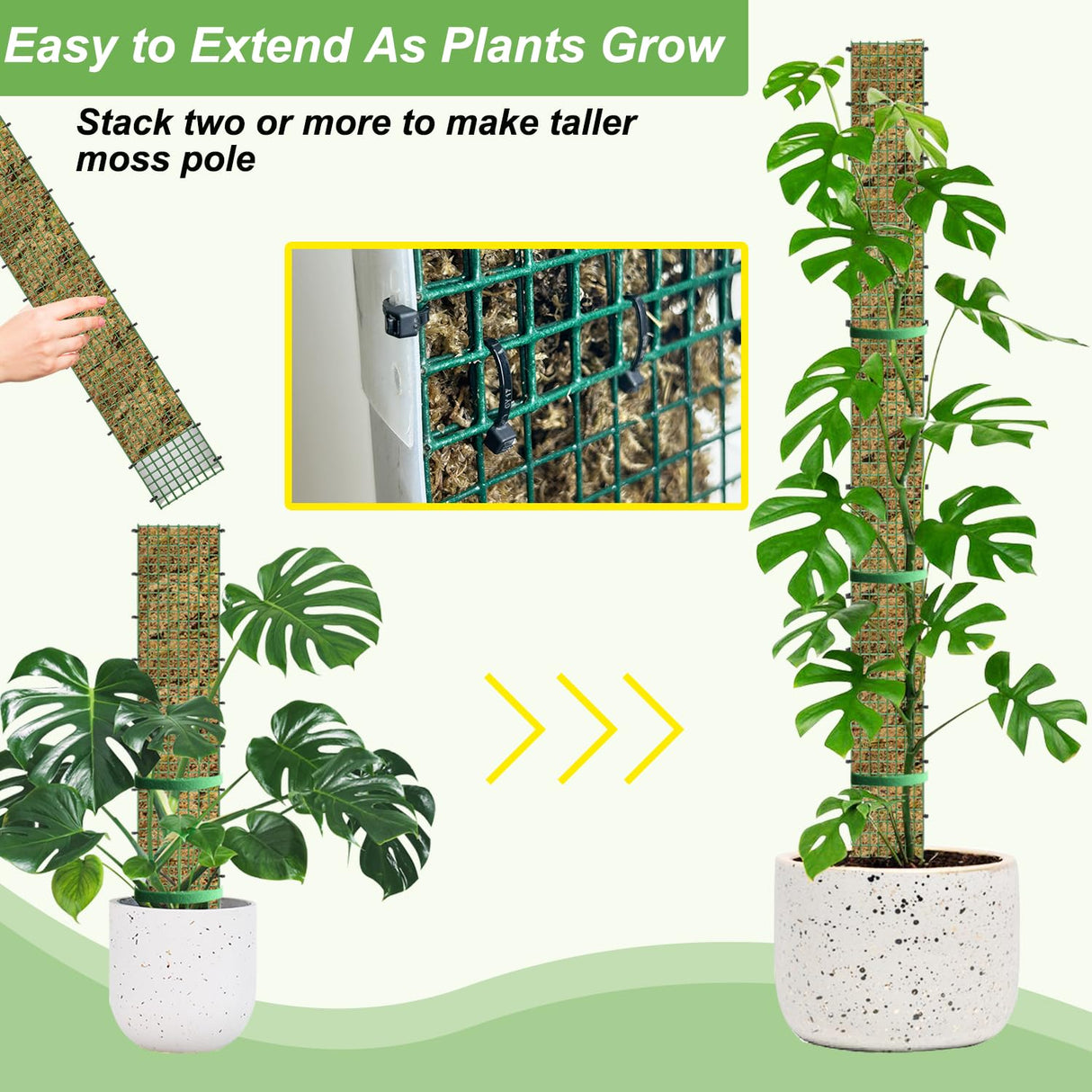60"/40"/24" Metal Moss Pole, D Shape Sphagnum Moss Pole, Moss Poles for Climbing Plants, Monstera, Indoor Climbing Plants (6Pcs 40")