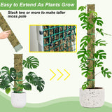 60"/40"/24" Metal Moss Pole, D Shape Sphagnum Moss Pole, Moss Poles for Climbing Plants, Monstera, Indoor Climbing Plants (6Pcs 40")