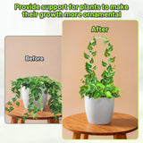 Vokvaktak 6 Pack U-Shape Acrylic Plant Trellis for Indoor Climbing Plants, 16 Inch Small Plant Trellis, Potted Plant Climber Support for Pothos, Vine Ivy, Houseplant