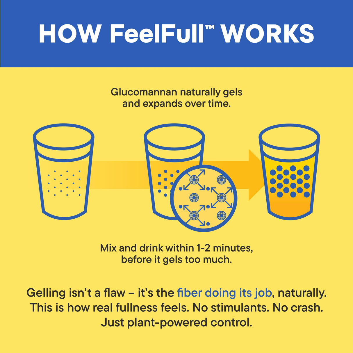 Daily Nouri FeelFull Prebiotic Fiber Drink Mix with Glucomannan & Chromium | for Natural Feeling of Fullness, Appetite & Cravings Support, Gut Microbiome & Metabolic Health | 30 Stick Packs