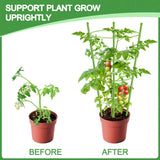 KLS 3 Pack Tomato Cage for Pots Plant Support, Upgrade 24 Inches Tomato Cages for Garden, Pepper Cage Trellis Kit with Plant Tie and Clips (24")