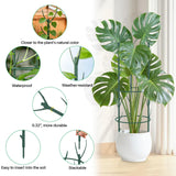 DRAINJH Monstera Plant Support Stakes, 30 Pcs Stackable Plant Support Stakes Sticks Poles for Indoor & Outdoor Plants, Climbing and Potted Plants, Stem Supports, Pothos