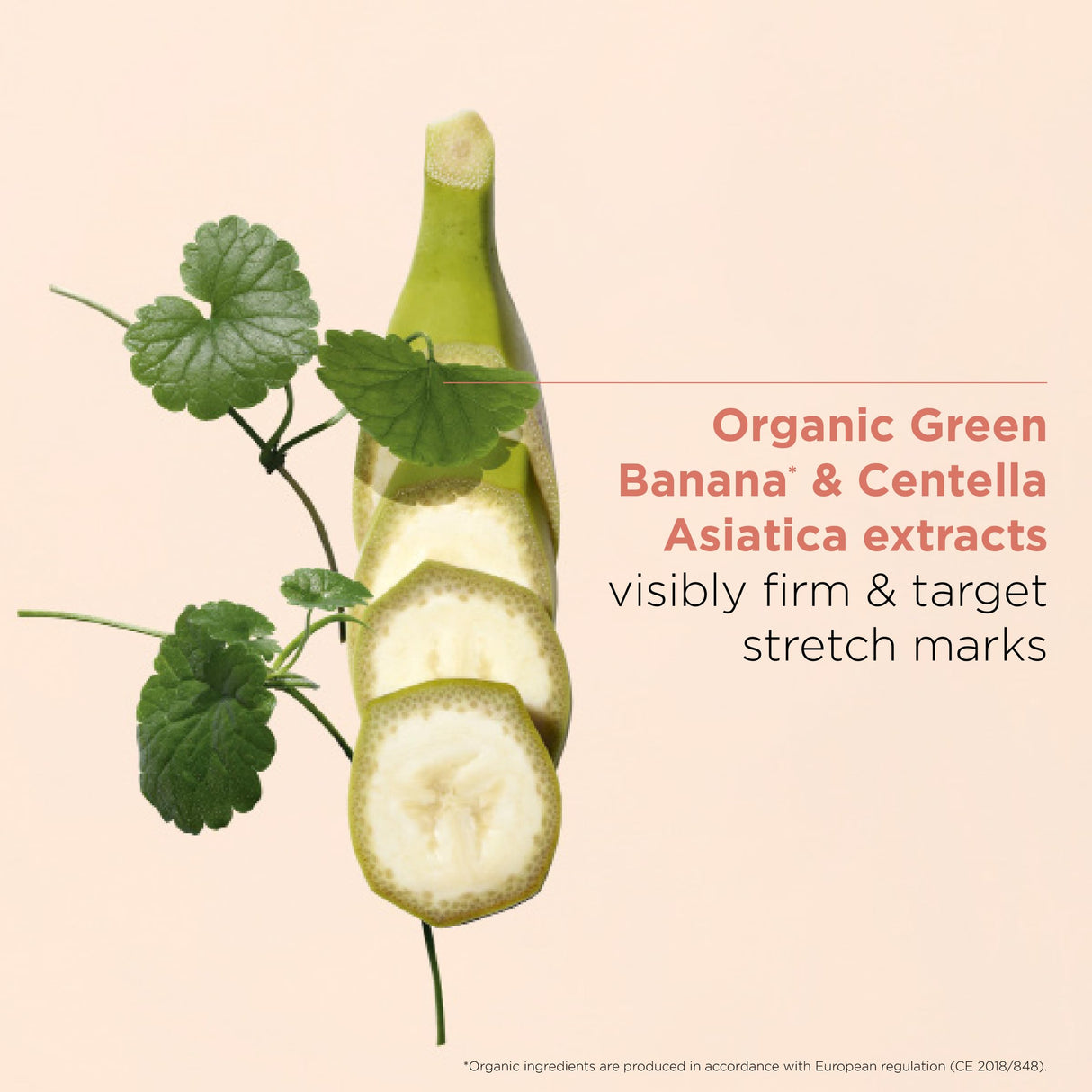 Clarins Body Partner Stretch Mark Expert | Award-Winning | Stretch Mark Cream For Pregnancy and Weight Fluctuations | Tested and Recommended By Pregnant Women | Fragrance Free | Minimal Ingredients