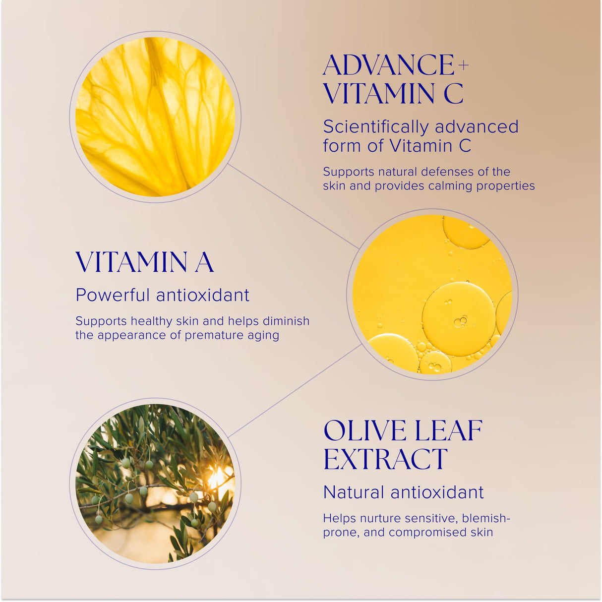 iS Clinical Pro-Heal Serum Advance+ antioxidant-rich serum containing vitamin C, E, and A for redness, rosacea, inflammation, 0.5 Fl Oz