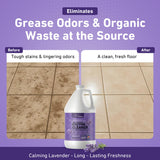 Creative Scents Multipurpose Enzyme Cleaner & Odor Remover | Super Concentrated for Floor, Carpet, Drain | Pet Urine Odor Eliminator | Cleaner for Cat Urine & Dog Poop | 1 Gallon - Calming Lavender