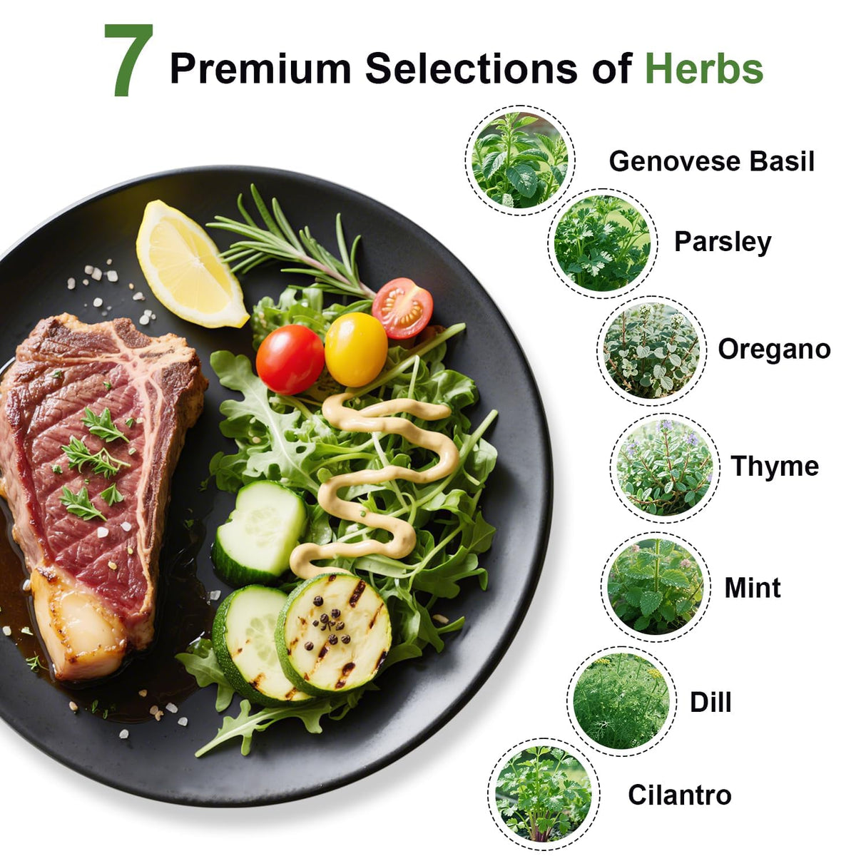 Gourmet Herb Seed Pod Kit for AeroGarden, idoo, Ahopegarden, MUFGA Hydroponics Garden with Basil, Parsley, Thyme, Mint, Cilantro, Dill, Oregano - Compatible with All Hydroponics (7-Pod)