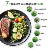 Gourmet Herb Seed Pod Kit for AeroGarden, idoo, Ahopegarden, MUFGA Hydroponics Garden with Basil, Parsley, Thyme, Mint, Cilantro, Dill, Oregano - Compatible with All Hydroponics (7-Pod)
