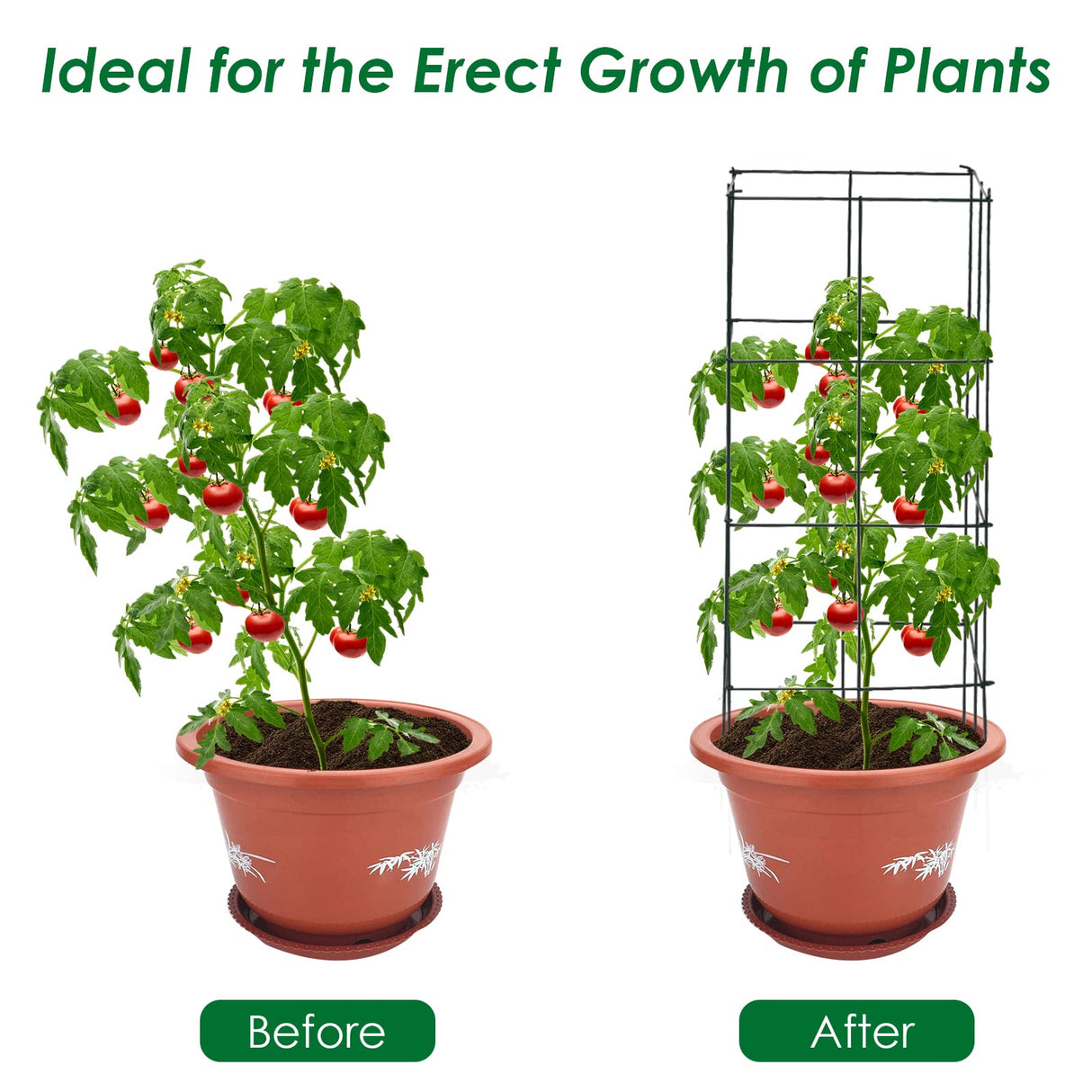 S AFSTAR 4 Pack Folding Tomato Cages, 39 Inches Tall Square Plant Support Cage for Garden Climbing Plants Flowers Fruits, Heavy Duty Tomato Vegetable Trellis
