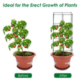 S AFSTAR 4 Pack Folding Tomato Cages, 39 Inches Tall Square Plant Support Cage for Garden Climbing Plants Flowers Fruits, Heavy Duty Tomato Vegetable Trellis