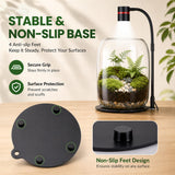 Yeeweek Glass Plant Terrarium with LED Grow Light, Grow Light for Terrarium, Small Desktop Indoor Planter for Venus Fly Trap, Moss & Succulents, Borosilicate Decor Jar for Plant Lovers