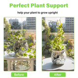 Yohsnor 3PCS DNA Plant Trellis Indoor & Outdoor,Metal Trellis for Pots