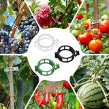 Plant Support Clips, Reusable Plant Clips for Securing Plants (50, Green)