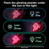 LET'S RESIN 12 Colors Glow in The Dark Pigment Powder for Resin - 20g/Jar