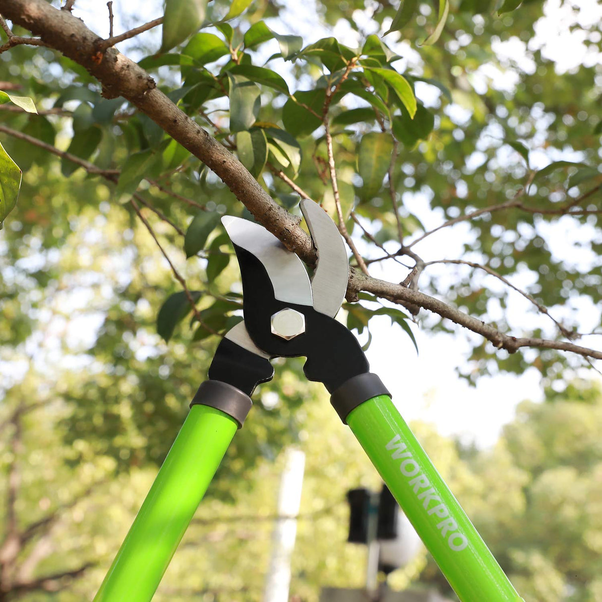 WORKPRO W151010 Limb and Branch Pruner Tool Set, Heat-Treated Steel (1 Set)