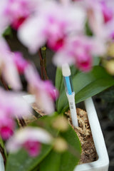 Sustee Aquameter, Set of 5, Plant Soil Moisture Sensor (White, Medium)
