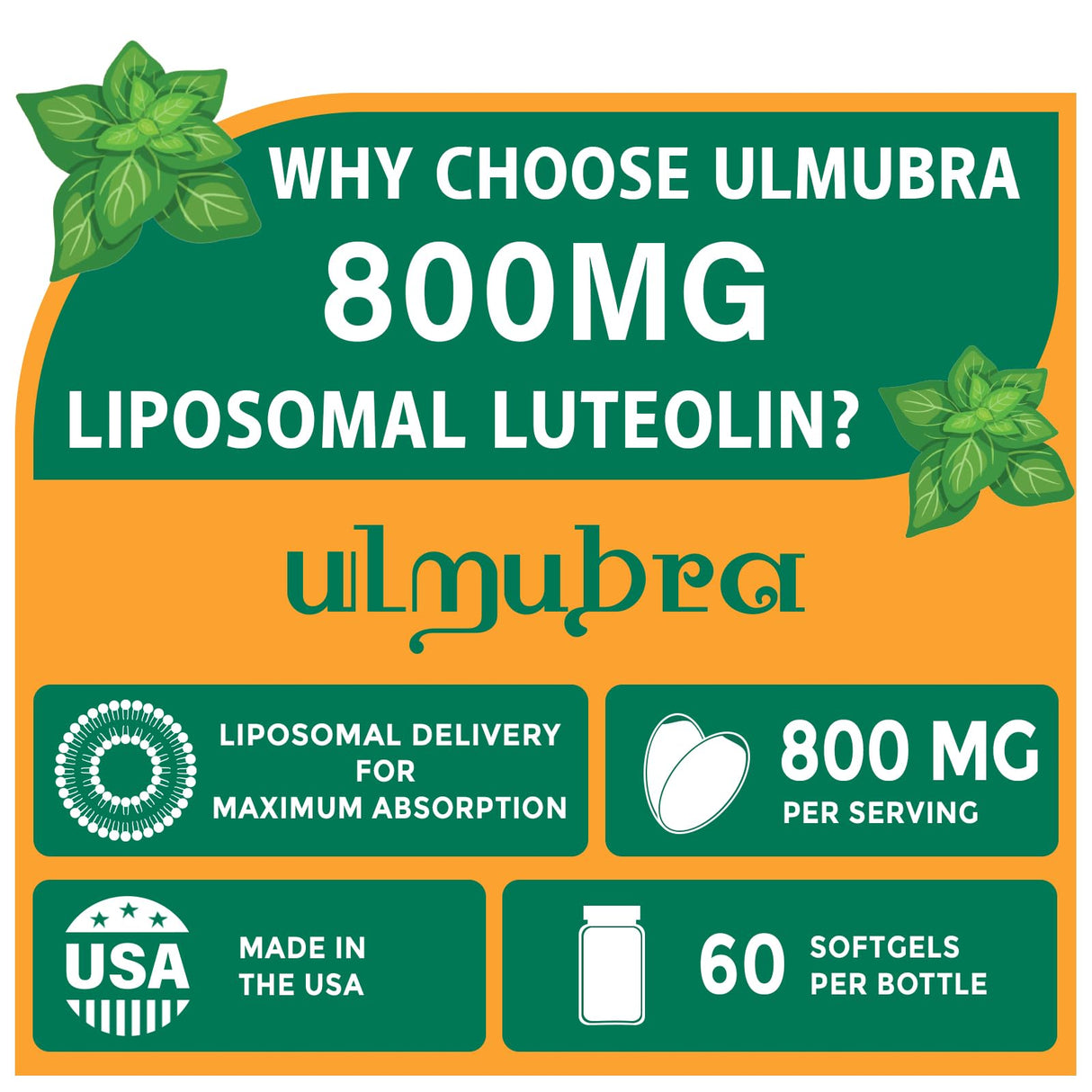 Ulmubra 800 MG Liposomal Luteolin Supplement - Maximum Absorption, Premium Antioxidant Supplement for Brain & Overall Well-Being, 60 Softgels - 30-Day Supply