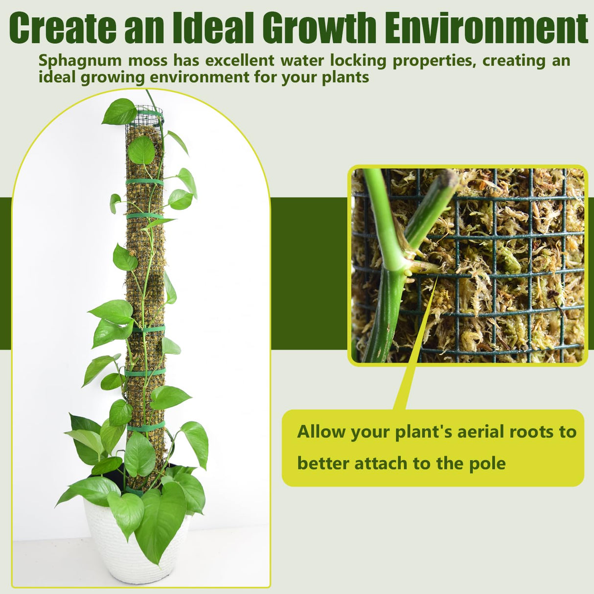 6 Pack Metal Moss Pole, 40" Large Moss Poles for Plants Monstera, Stackable Sphagnum Moss Pole for Plants Work with Sphagnum Moss(6 Pack 40")