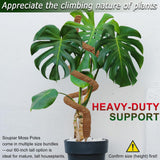 Soupiar 2 Pack 60'' Bendable Moss Pole for Monstera & Pothos - Tall Handmade Coco Coir Plant Support Stakes for Large Climbing Indoor Plants, Potted Houseplant Trellis Accessories
