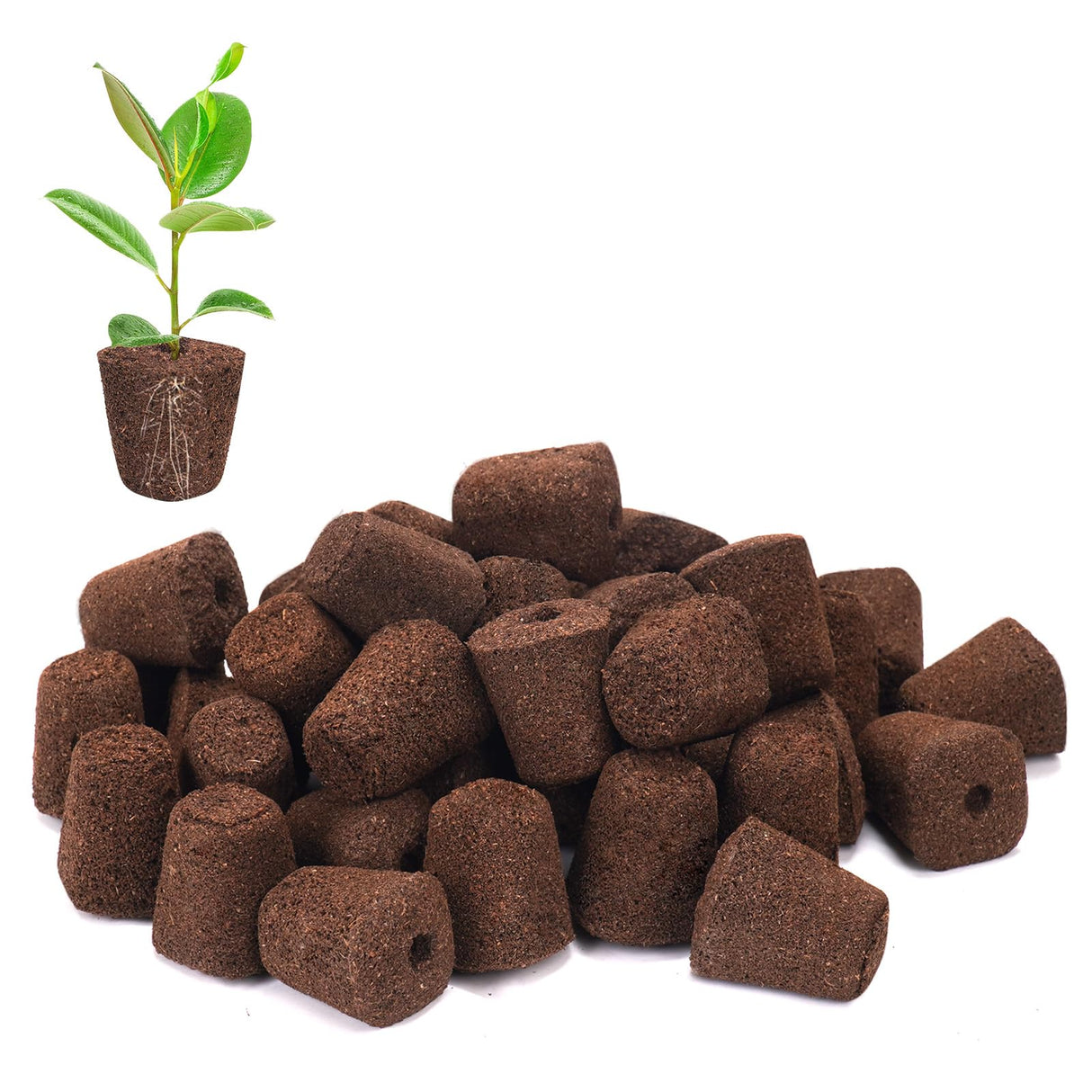 LAPOND 50 Pcs Seed Starter Plugs,Replacement Root Grow Sponges Plant Plugs,Great for Soil, Tray or Planting Pods, Promotes Herbs, Vegetables and Flowers Growth
