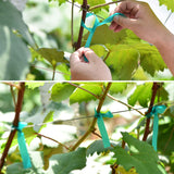 TELENT OUTDOORS 10 Pcs 150 Feet x 1/2" Wide Stretch Tie Tape Green Plant Garden Tie, Garden Vinyl Stake for Branches, Climbing Planters, Flowers
