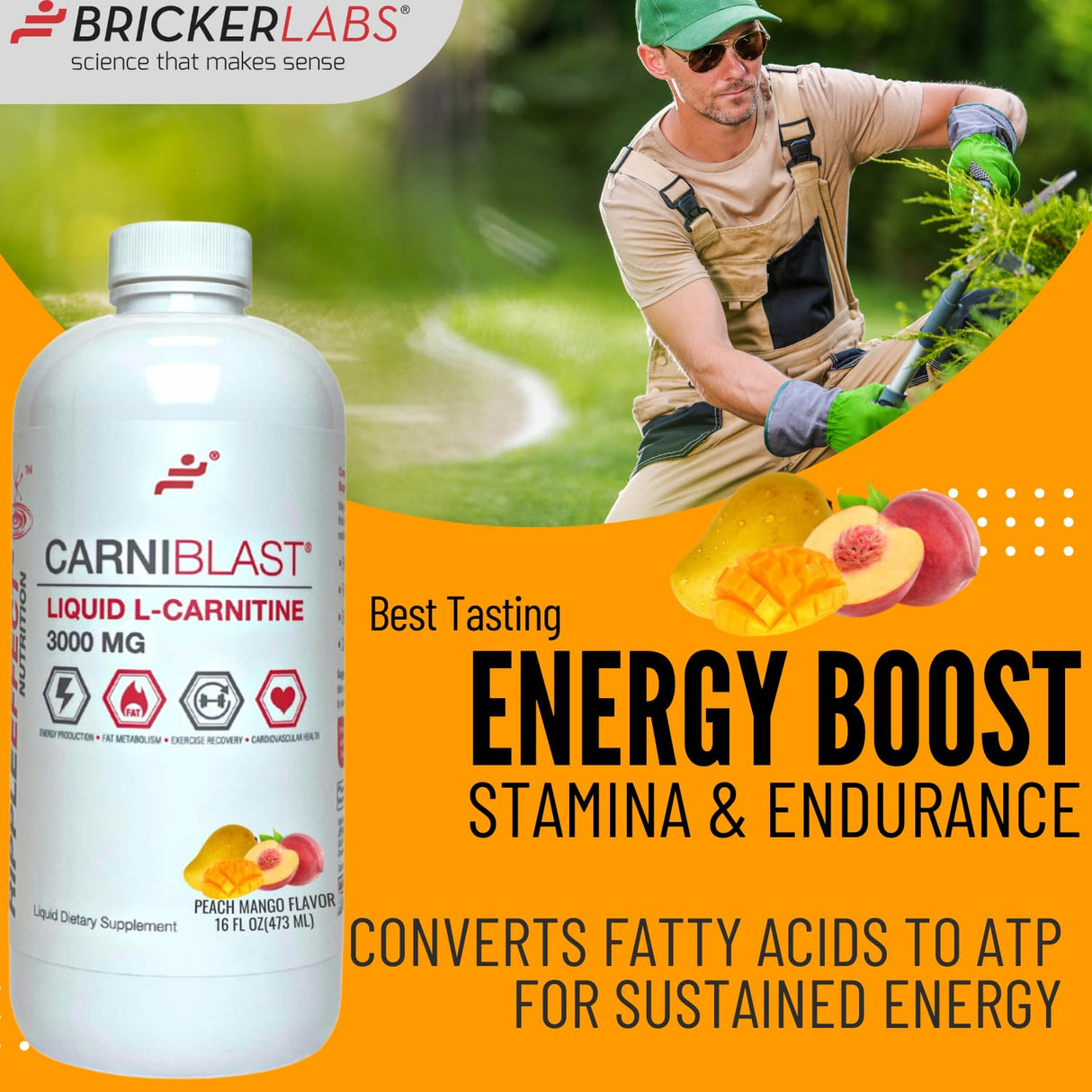 Bricker Labs CARNIBLAST Liquid L-Carnitine 3000mg, Premium L Carnitine Carnipure, Sports Nutrition, Energy Supplement and Energy Booster, Peach Mango 16 fl oz