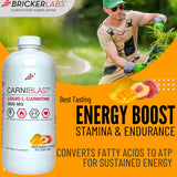 Bricker Labs CARNIBLAST Liquid L-Carnitine 3000mg, Premium L Carnitine Carnipure, Sports Nutrition, Energy Supplement and Energy Booster, Peach Mango 16 fl oz