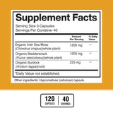 American Standard Supplements Organic Sea Moss, Bladderwrack & Burdock Root Capsules - 1200mg Sea Moss, 1200mg Bladderwrack, 225mg Burdock Root Per Serving - 120 Capsules, 40 Servings