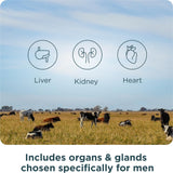 Ancient Nutrition Organ Supplements for Men, Grass-Fed and Wild Organ Complex Capsules, Liver, Prostate, Pancreas Supports Male Performance, Healthy Aging, 180 Ct
