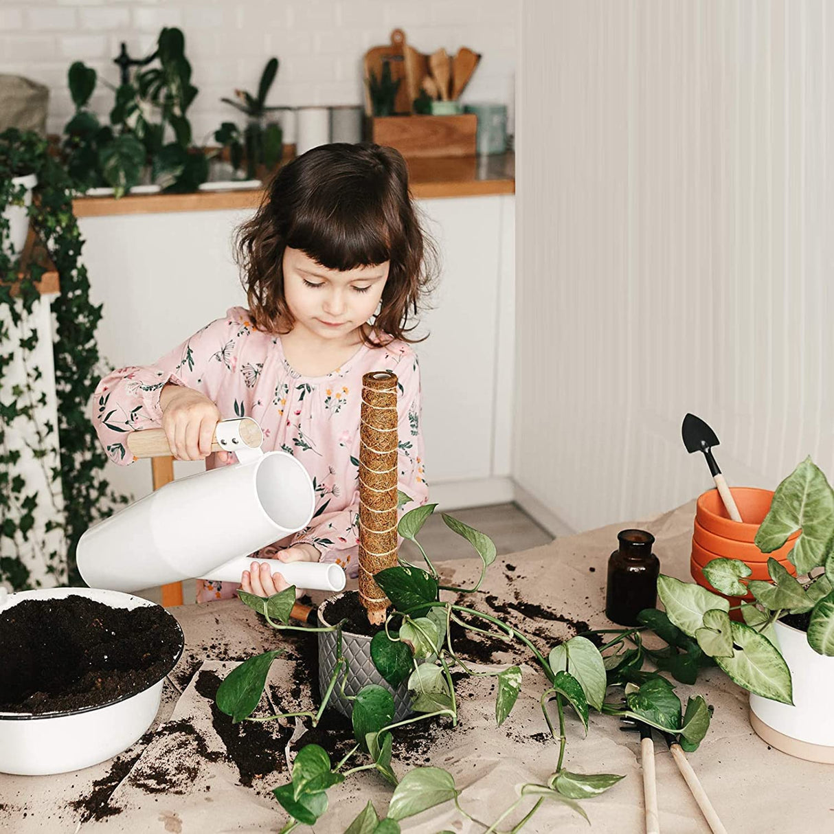 Eibikdi 101in Moss Pole for Plants Monstera 8 Pcs