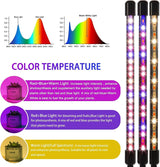 LED Grow Lights for Indoor Plants 2-Pack, Full Spectrum & Red Blue Spectrum Plant Growing Lamps with 3/9/12H Timer, 10 Brightness Levels, Clip-on Desk Plant Lights for Seedlings, Succulents, Flowers